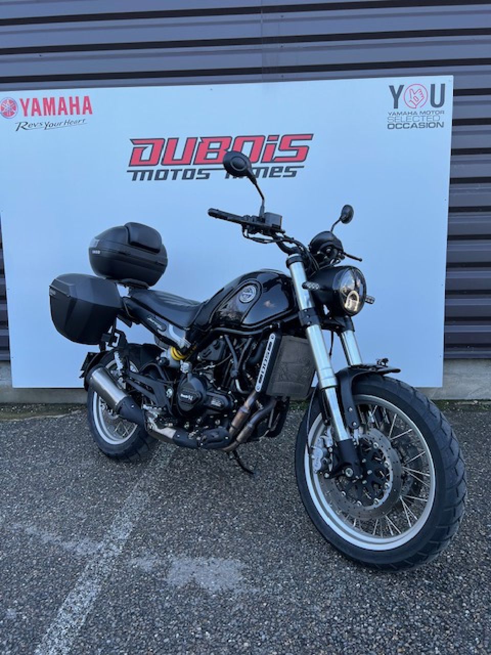 BENELLI LEONCINO 500 T 1