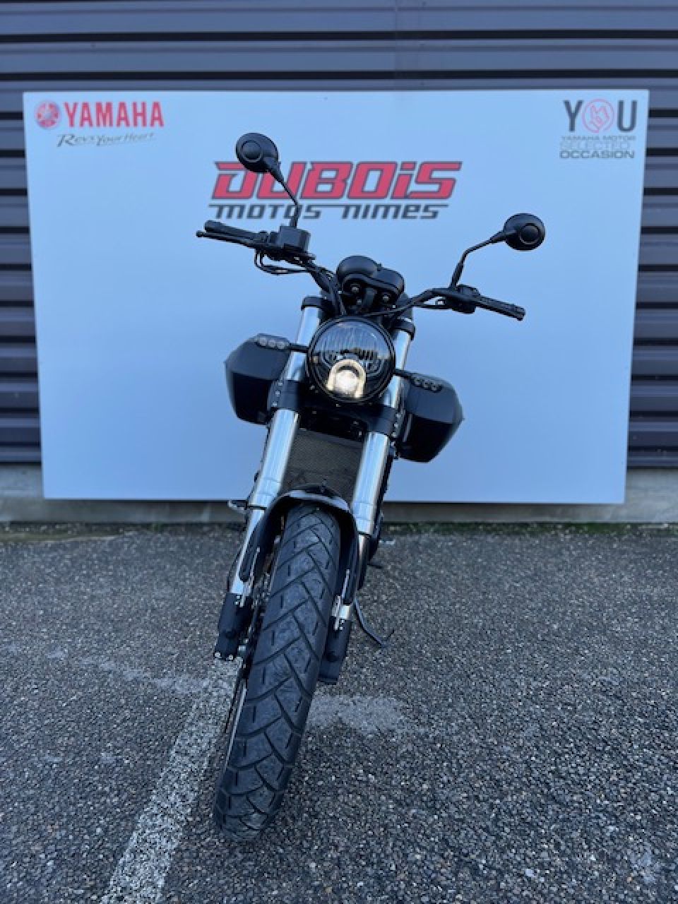 BENELLI LEONCINO 500 T 2