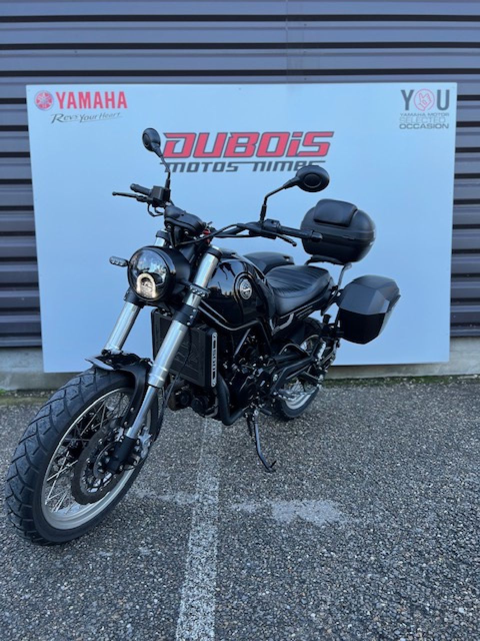 BENELLI LEONCINO 500 T 3