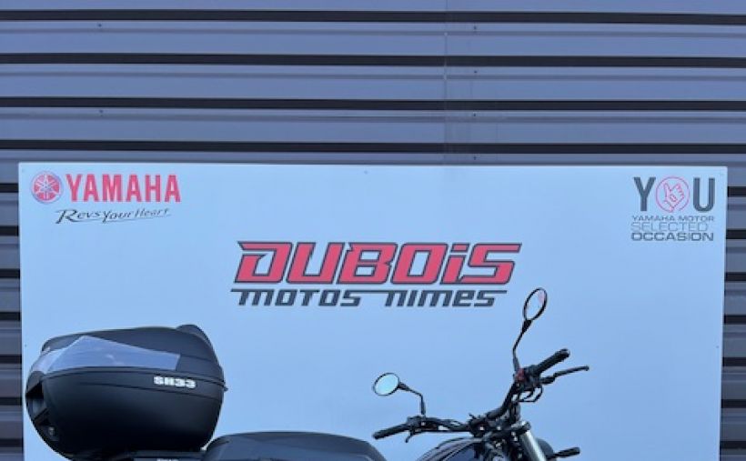 BENELLI LEONCINO 500 T 6