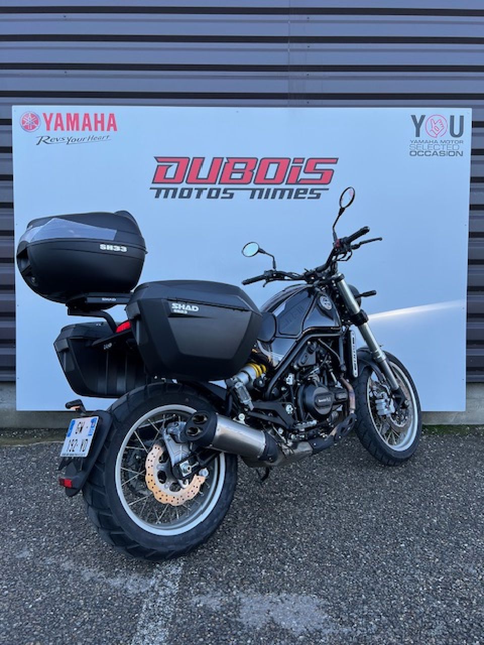 BENELLI LEONCINO 500 T 6