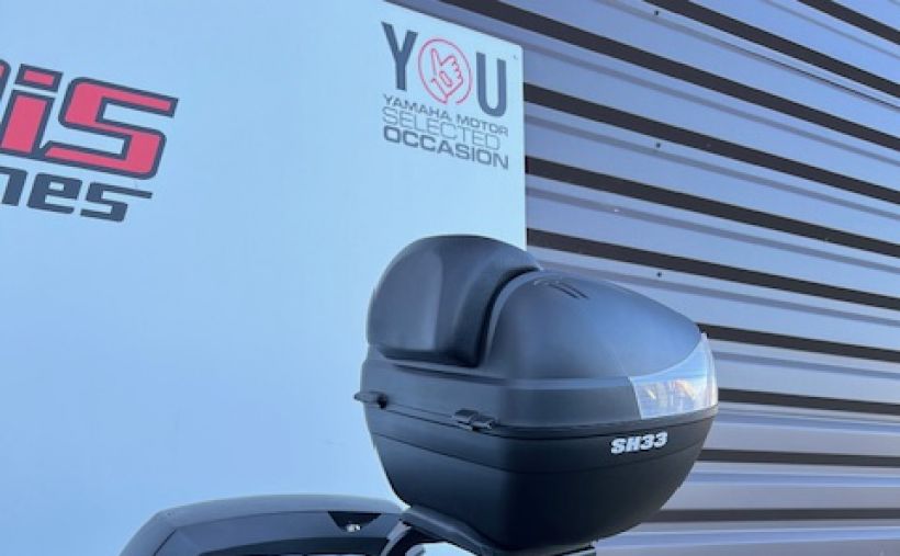 BENELLI LEONCINO 500 T 10