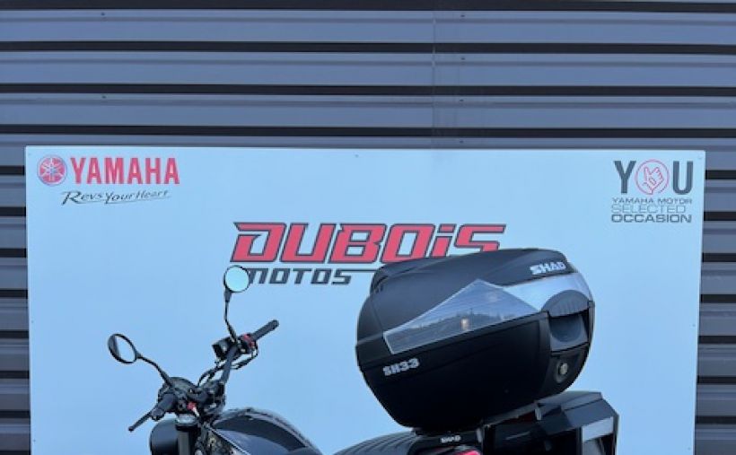 BENELLI LEONCINO 500 T 5