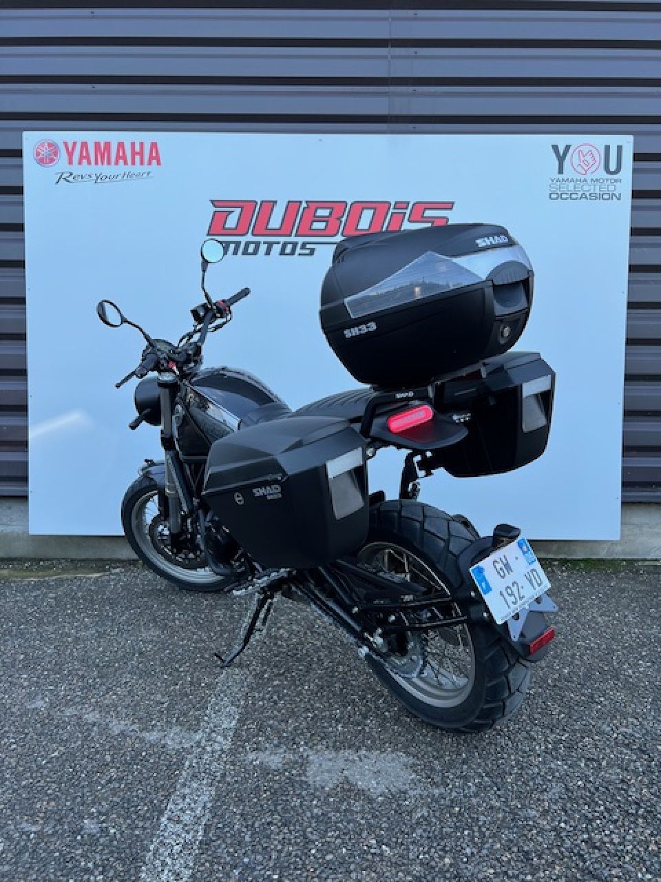BENELLI LEONCINO 500 T 5