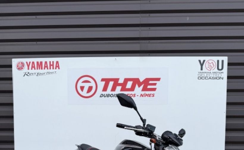 YAMAHA FZ6 600 FAZER S2 1