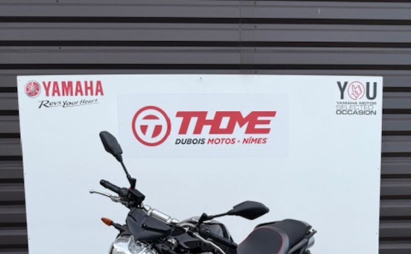 YAMAHA FZ6 600 FAZER S2 3