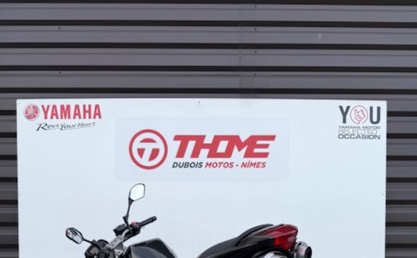 YAMAHA FZ6 600 FAZER S2 5