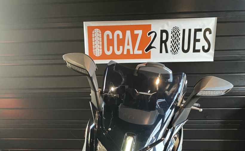 BMW C EVOLUTION EL 1
