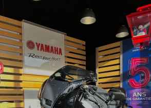 YAMAHA XSR 900 GP - 2024