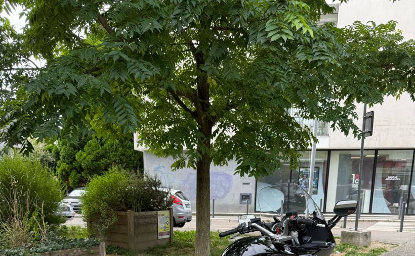 YAMAHA FJR 1300 ABS 2