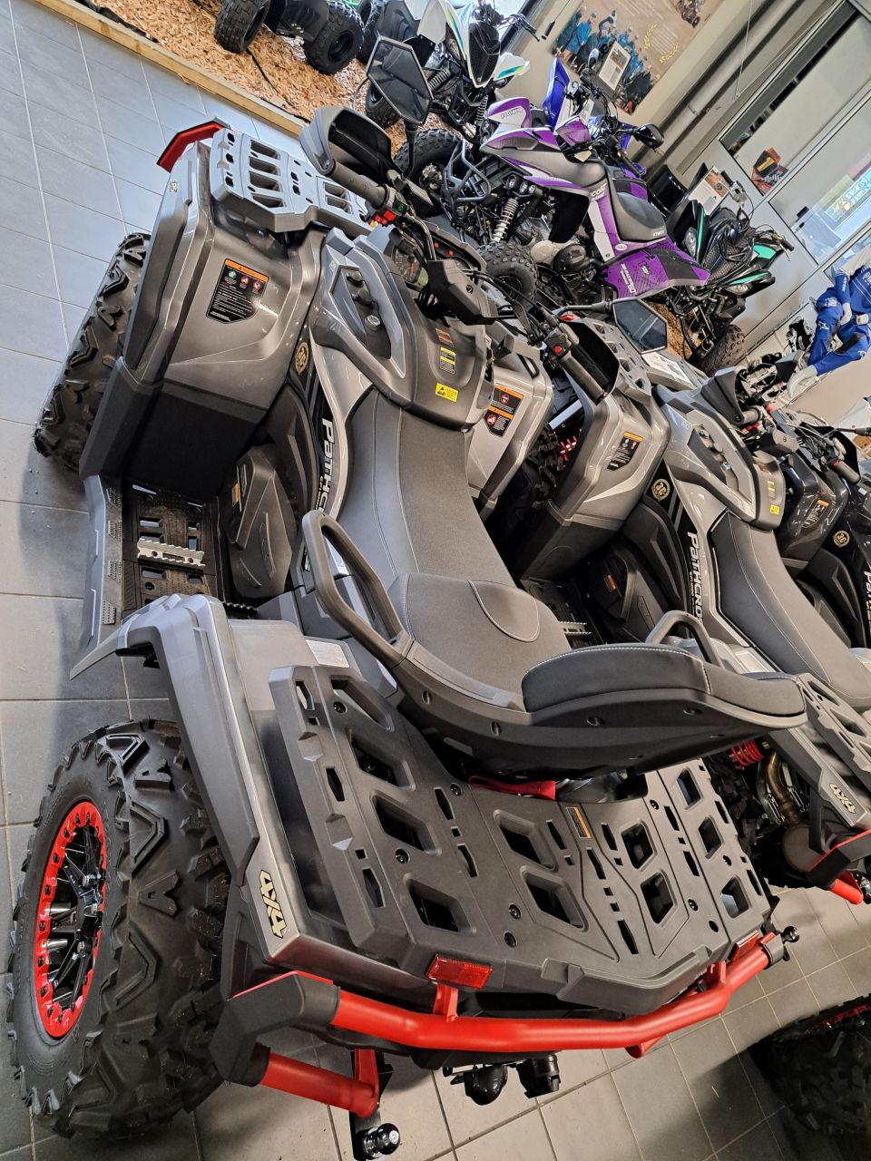 AODES Pathcross 1000 MAX XTX 10