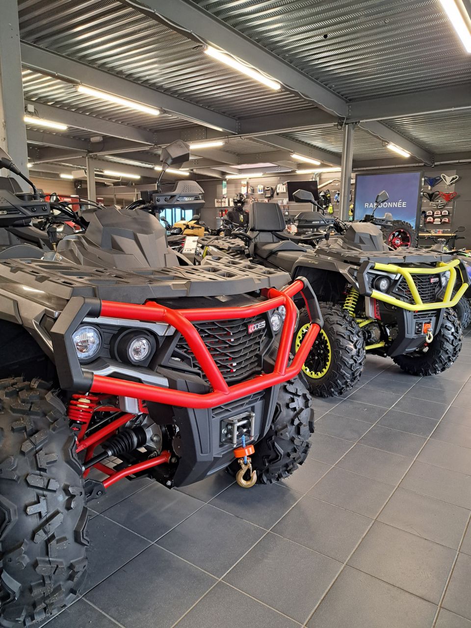 AODES Pathcross 1000 MAX XTX 15