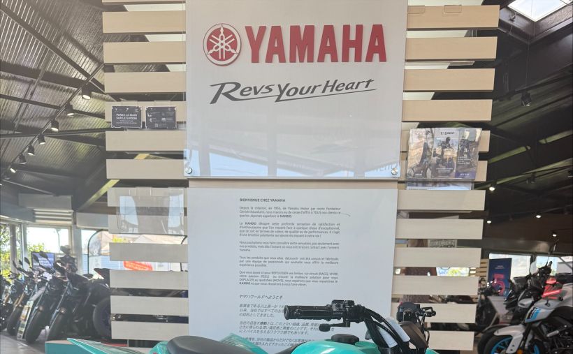 YAMAHA YFM 50 RAPTOR 3