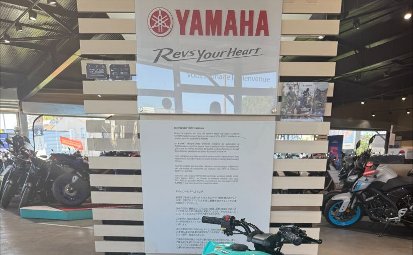 YAMAHA YFM 50 RAPTOR 5