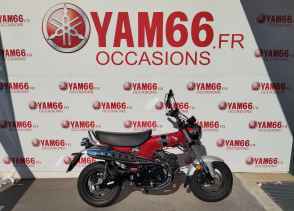 HONDA DAX ST - 2022