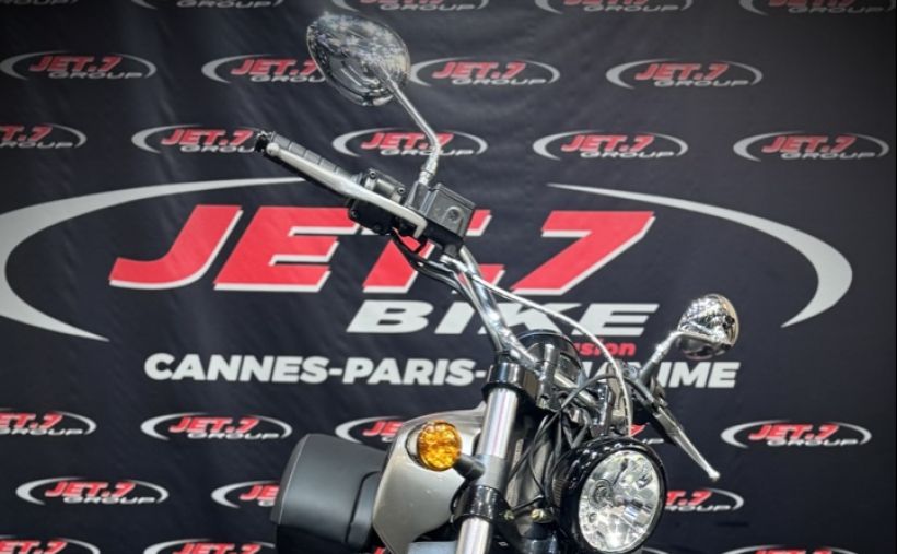 INDIAN SCOUT 1133 1