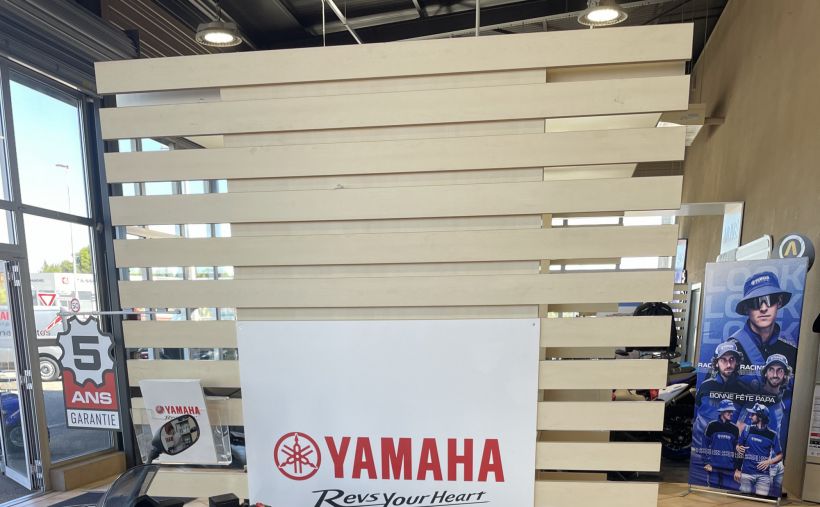 YAMAHA DIVERSION 1