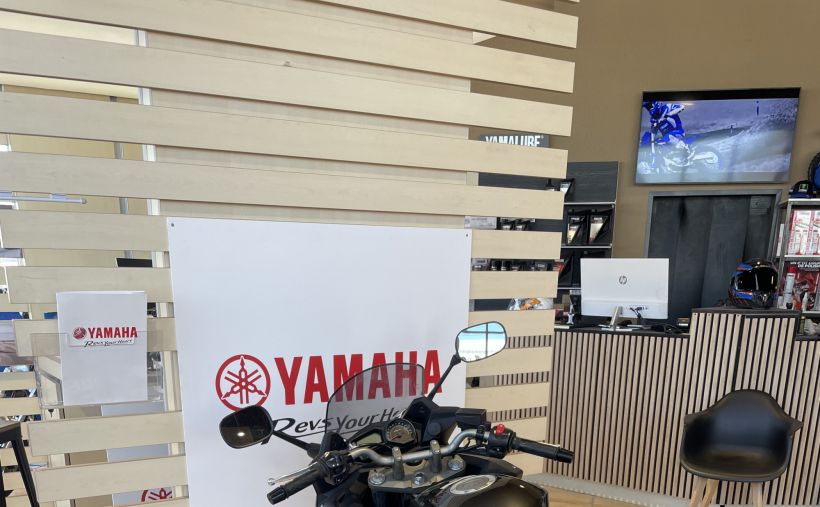 YAMAHA DIVERSION 3
