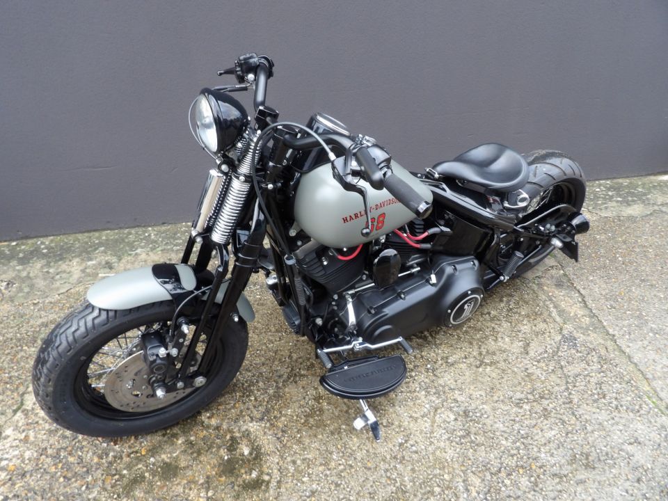 HARLEY-DAVIDSON SOFTAIL CROSS BONES 1584 4