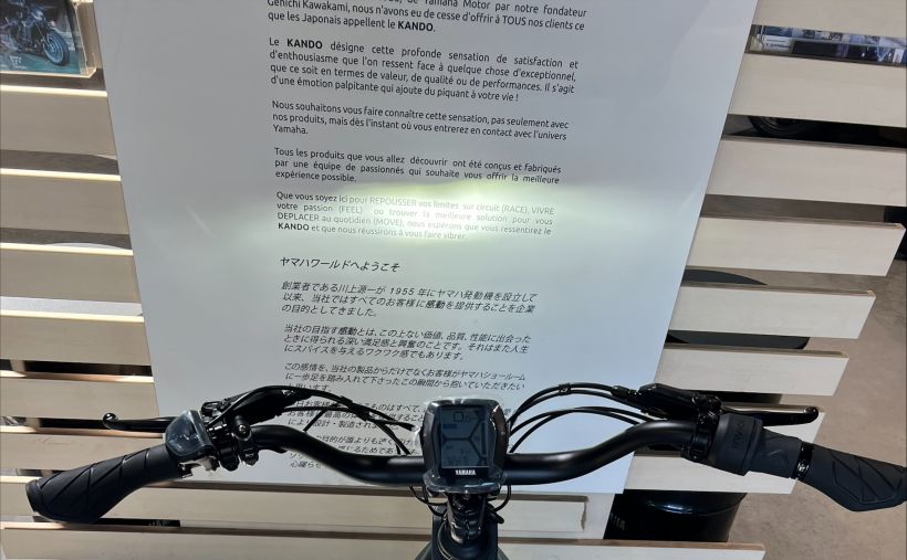 YAMAHA E-Bike BOOSTER 3