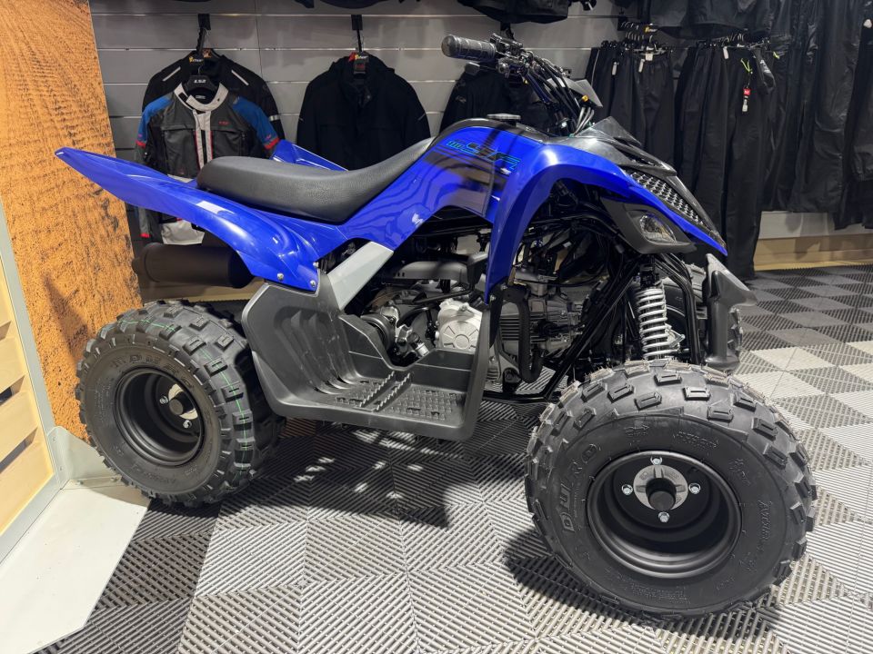 YAMAHA YFM 110 RAPTOR 6