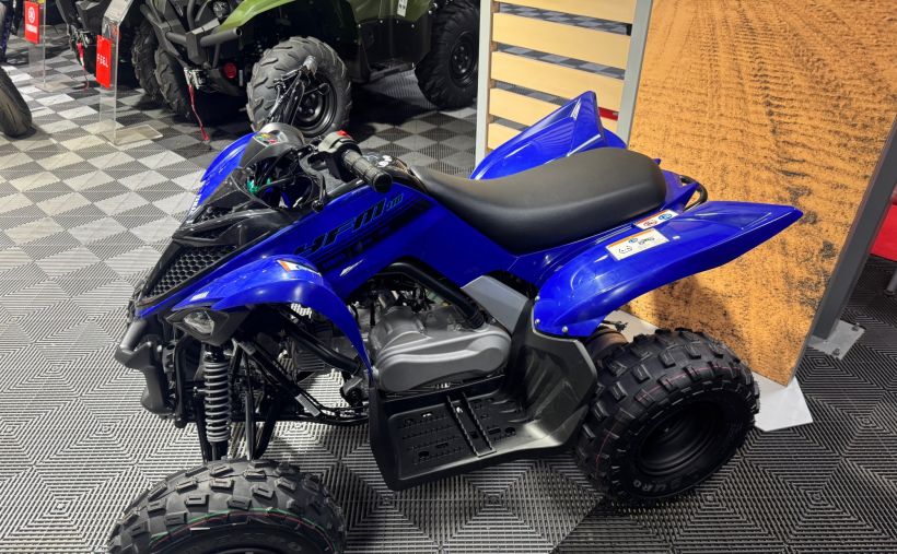 YAMAHA YFM 110 RAPTOR 3