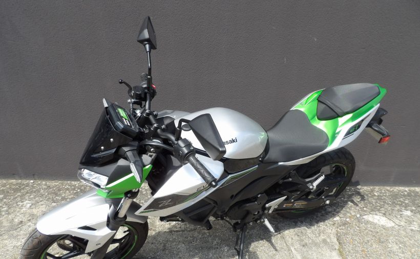 KAWASAKI Z EV 4