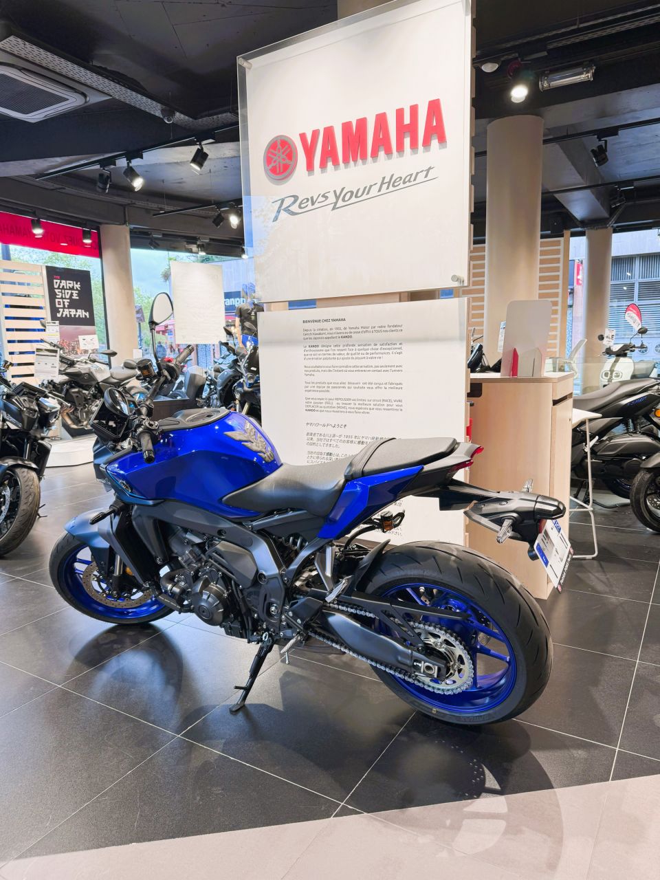 YAMAHA MT-09  Y-AMT 6