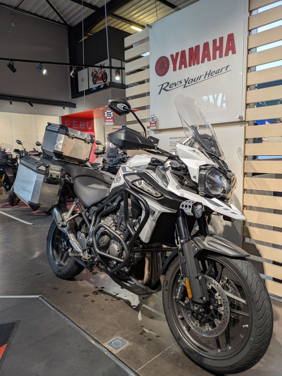 TRIUMPH TIGER 1200 ALPINE EDITION 1