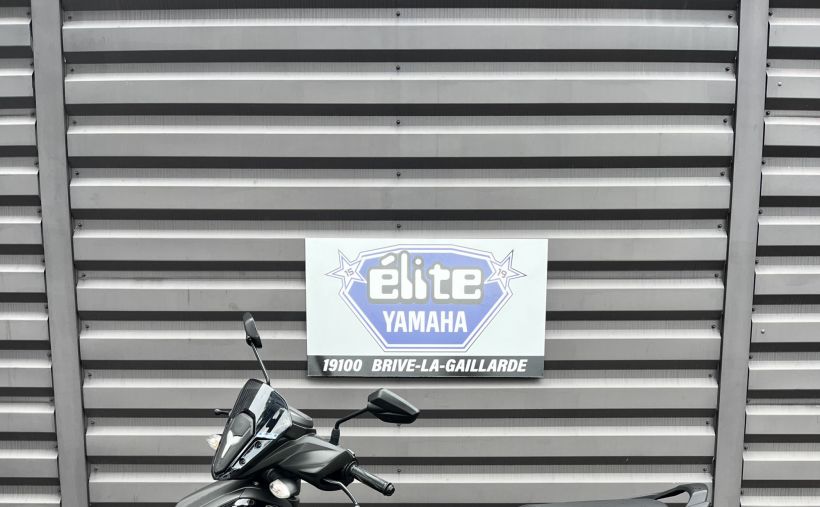 YAMAHA RayZR 125 3