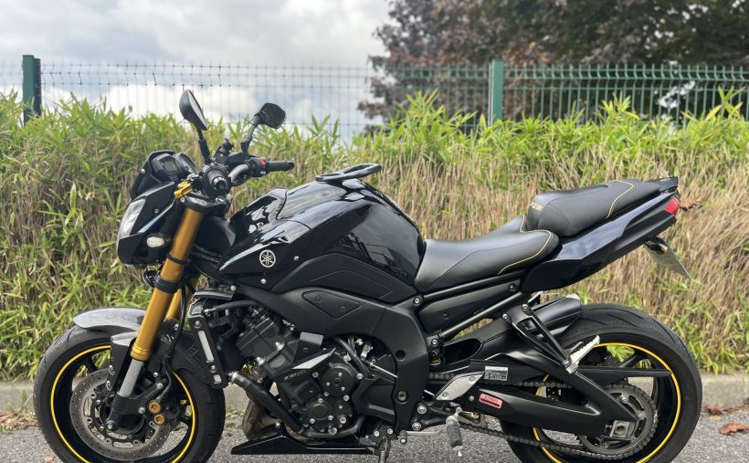 YAMAHA FZ8 10