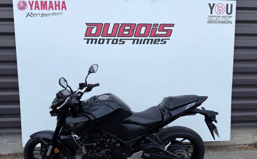 YAMAHA MT-03 4