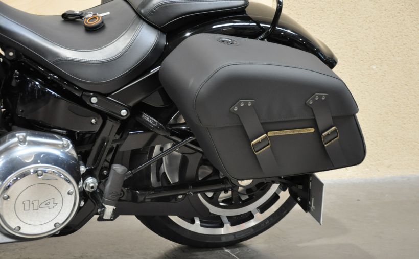 HARLEY-DAVIDSON SOFTAIL FAT BOY 1868 12