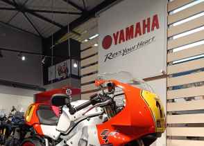 YAMAHA XSR 900 GP - 2024