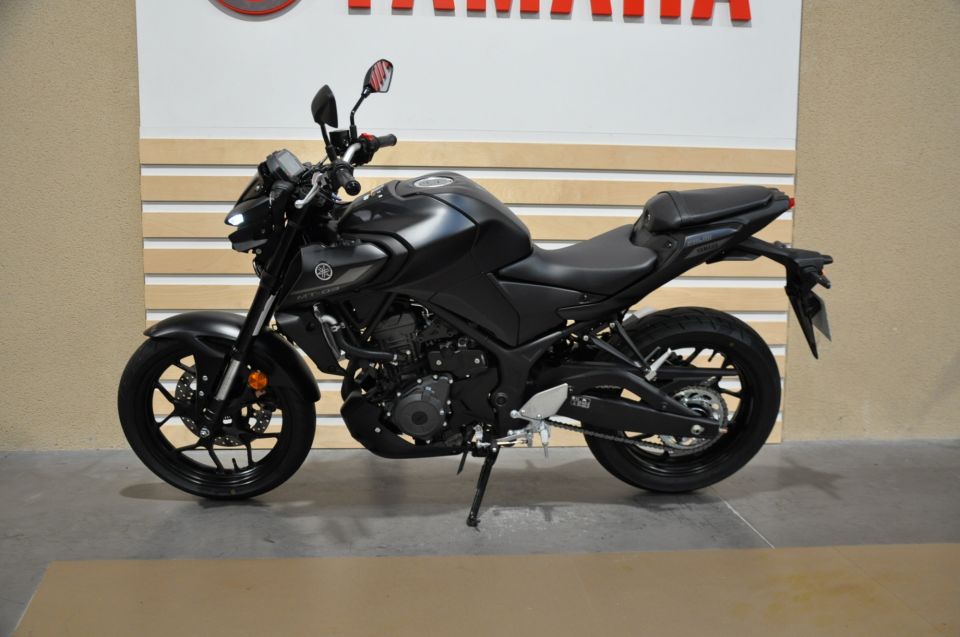 YAMAHA MT-03 300 6