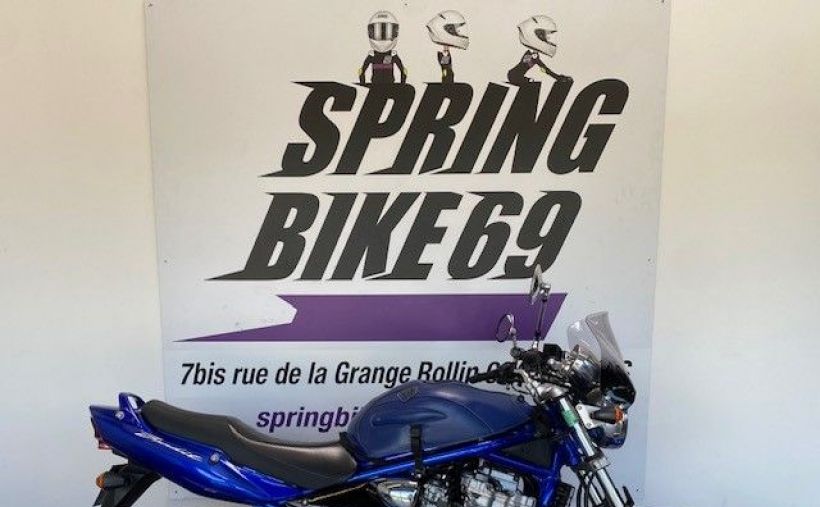 SUZUKI GSF 600 BANDIT 8