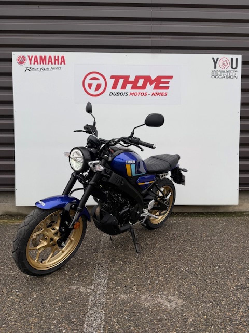 YAMAHA XSR 125 3