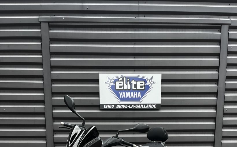YAMAHA X-MAX 250 IRON 2