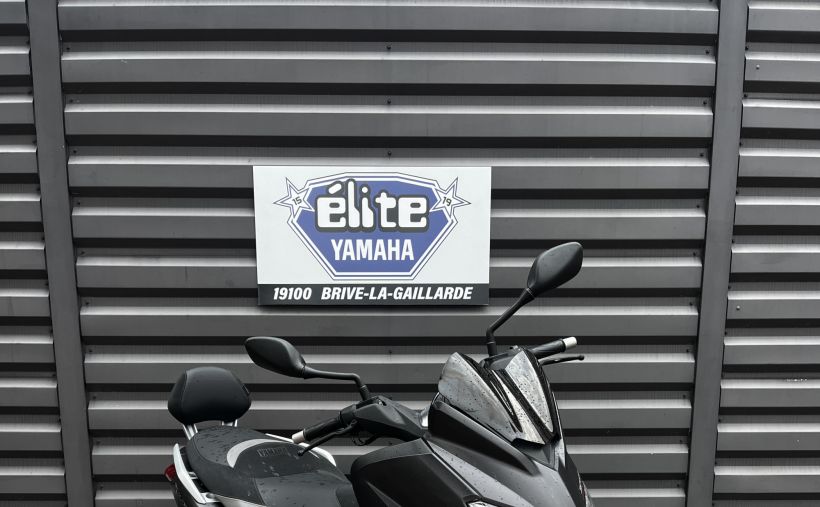 YAMAHA X-MAX 250 IRON 1