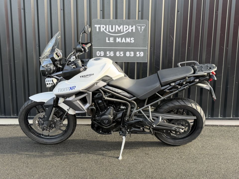 TRIUMPH TIGER 800 XRX 15