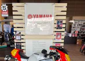 YAMAHA XSR 900 GP - 2025
