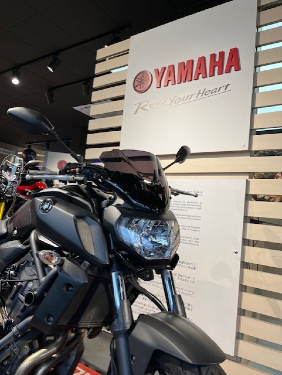 YAMAHA MT-07 (47.5CV) 2