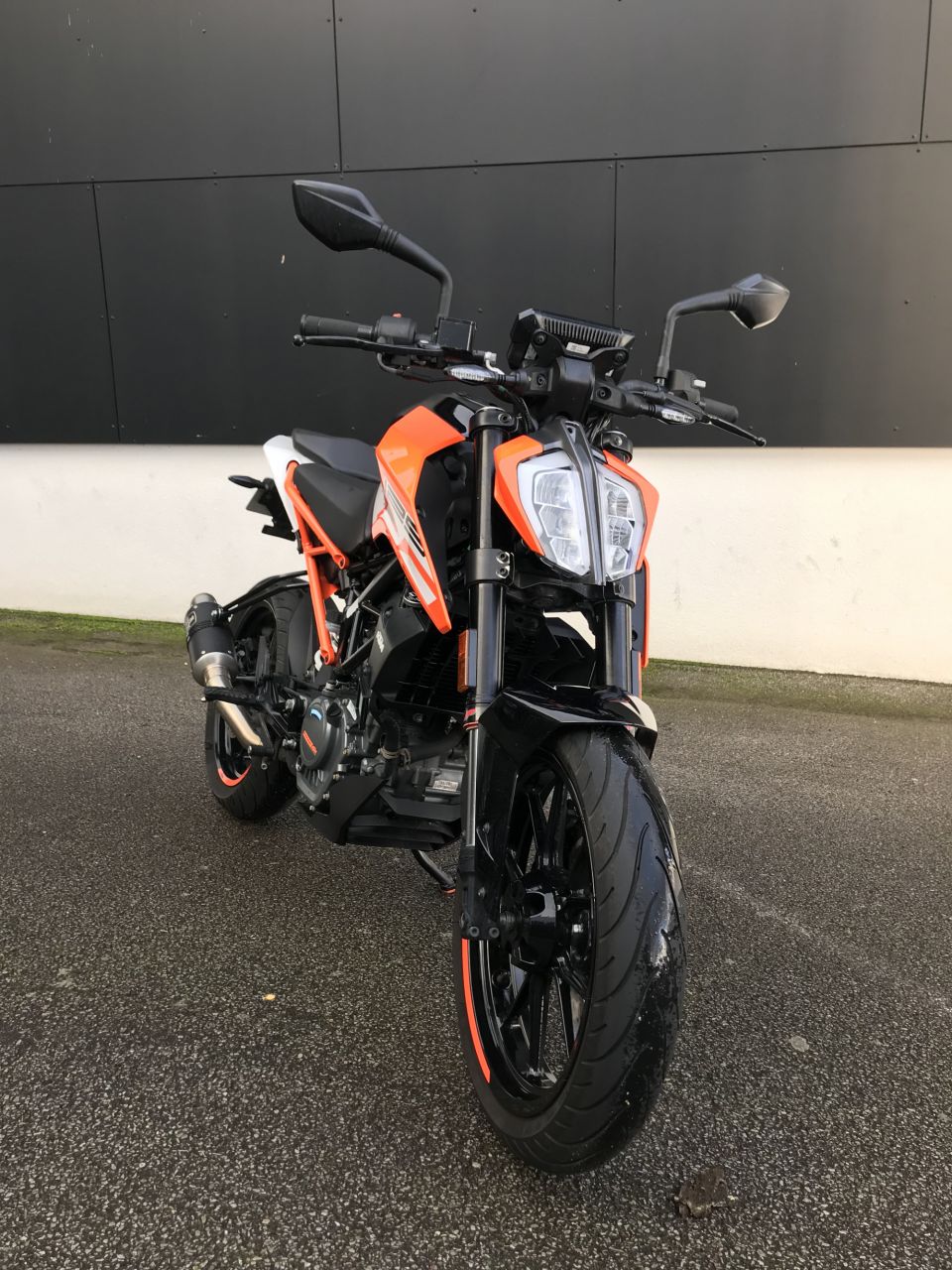 KTM 125 DUKE 12