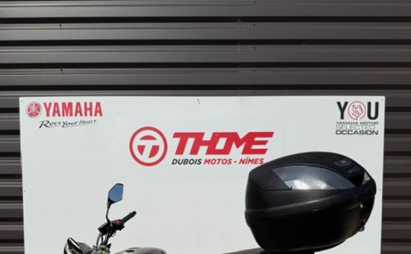 HONDA CB 600 F HORNET 5