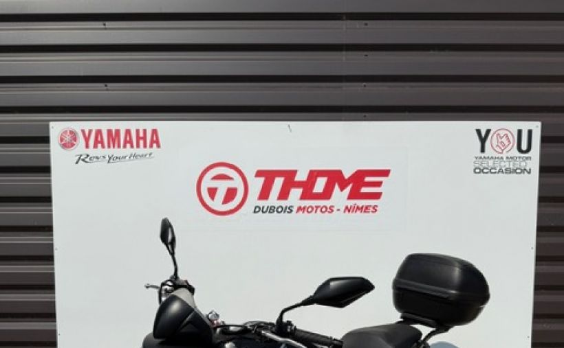 HONDA CB 600 F HORNET 3