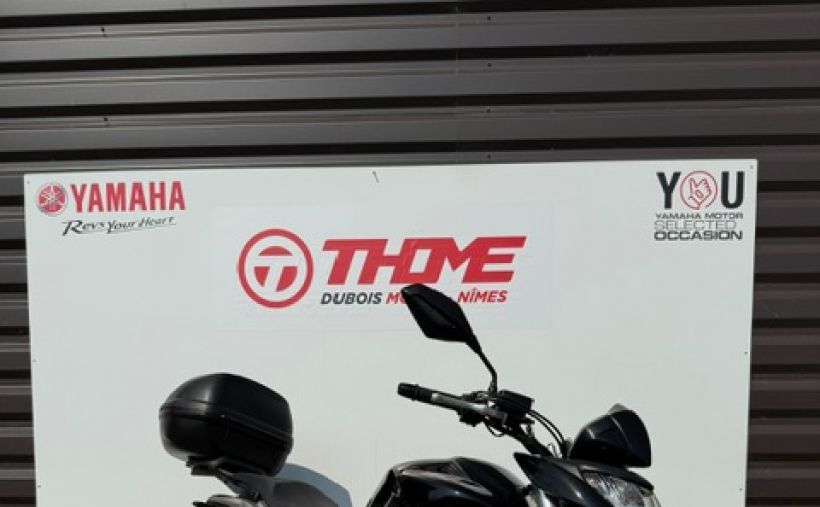 HONDA CB 600 F HORNET 1