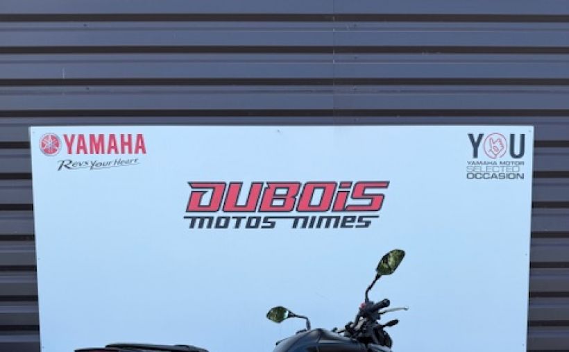 YAMAHA MT-03 6
