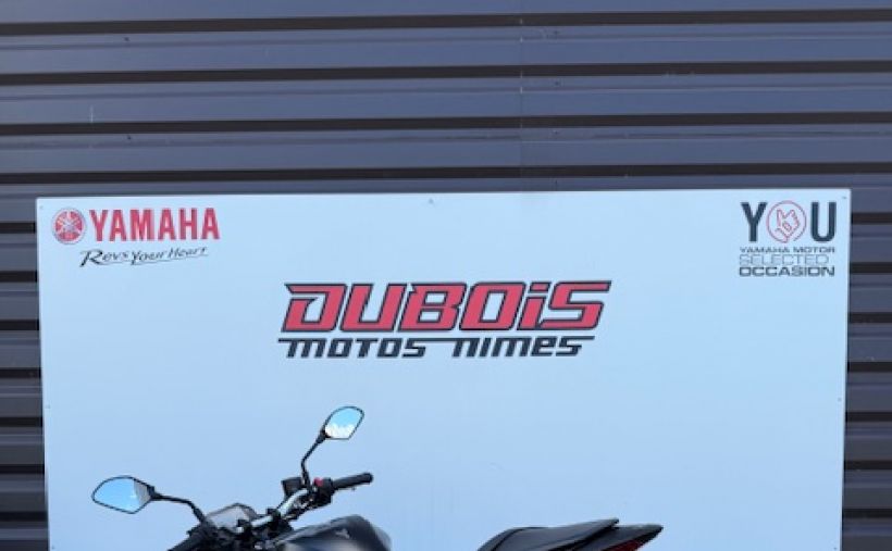 YAMAHA MT-03 5