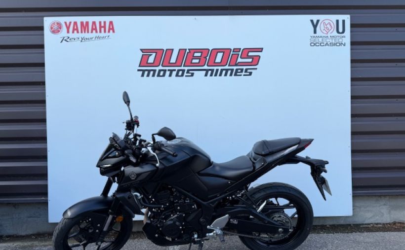 YAMAHA MT-03 4