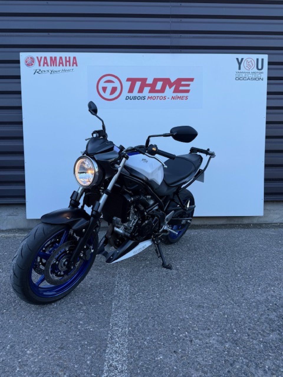 SUZUKI SV 650 A2 3